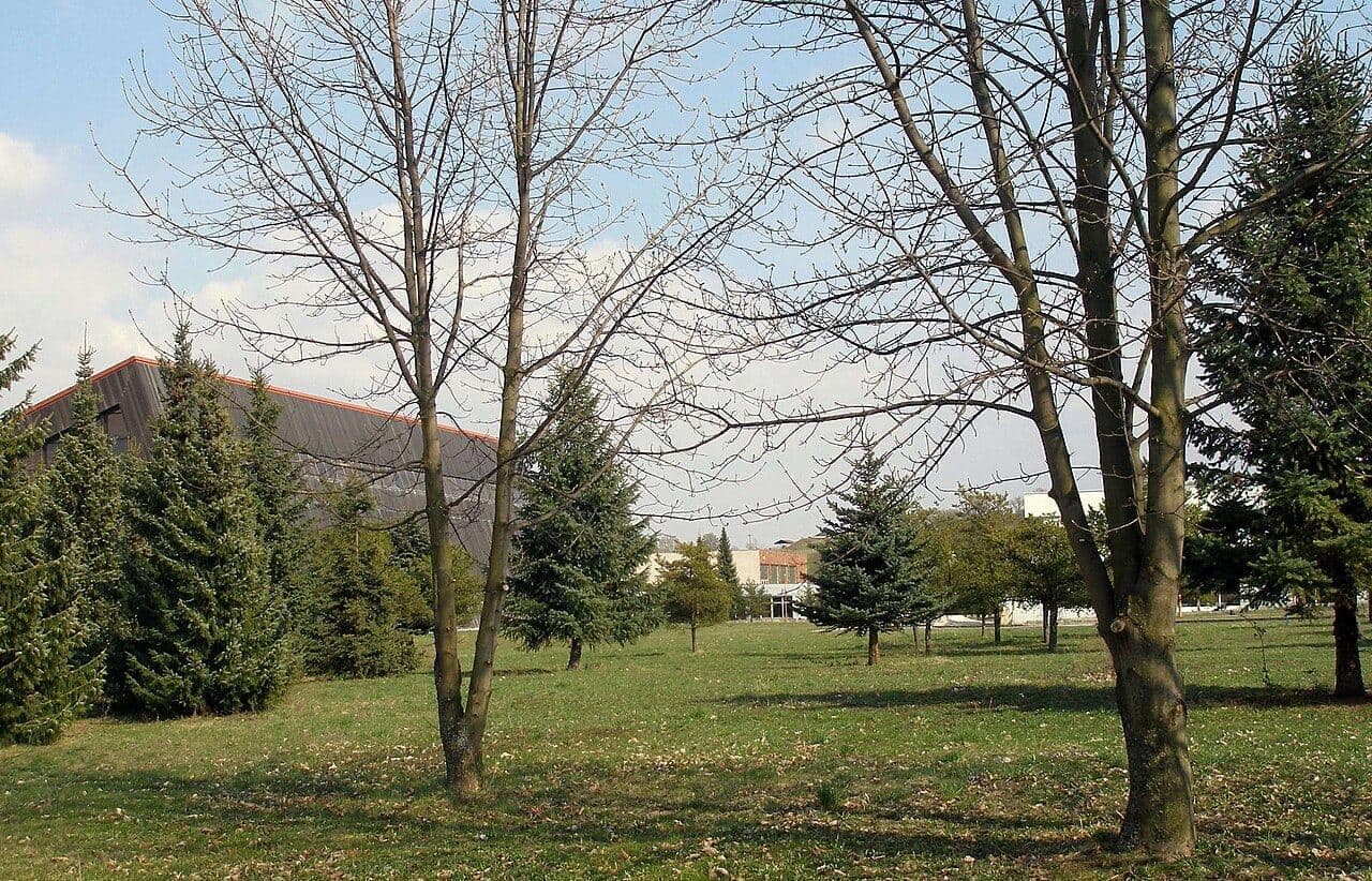 Academy of the Armed Forces of General Milan Rastislav Štefánik — 8