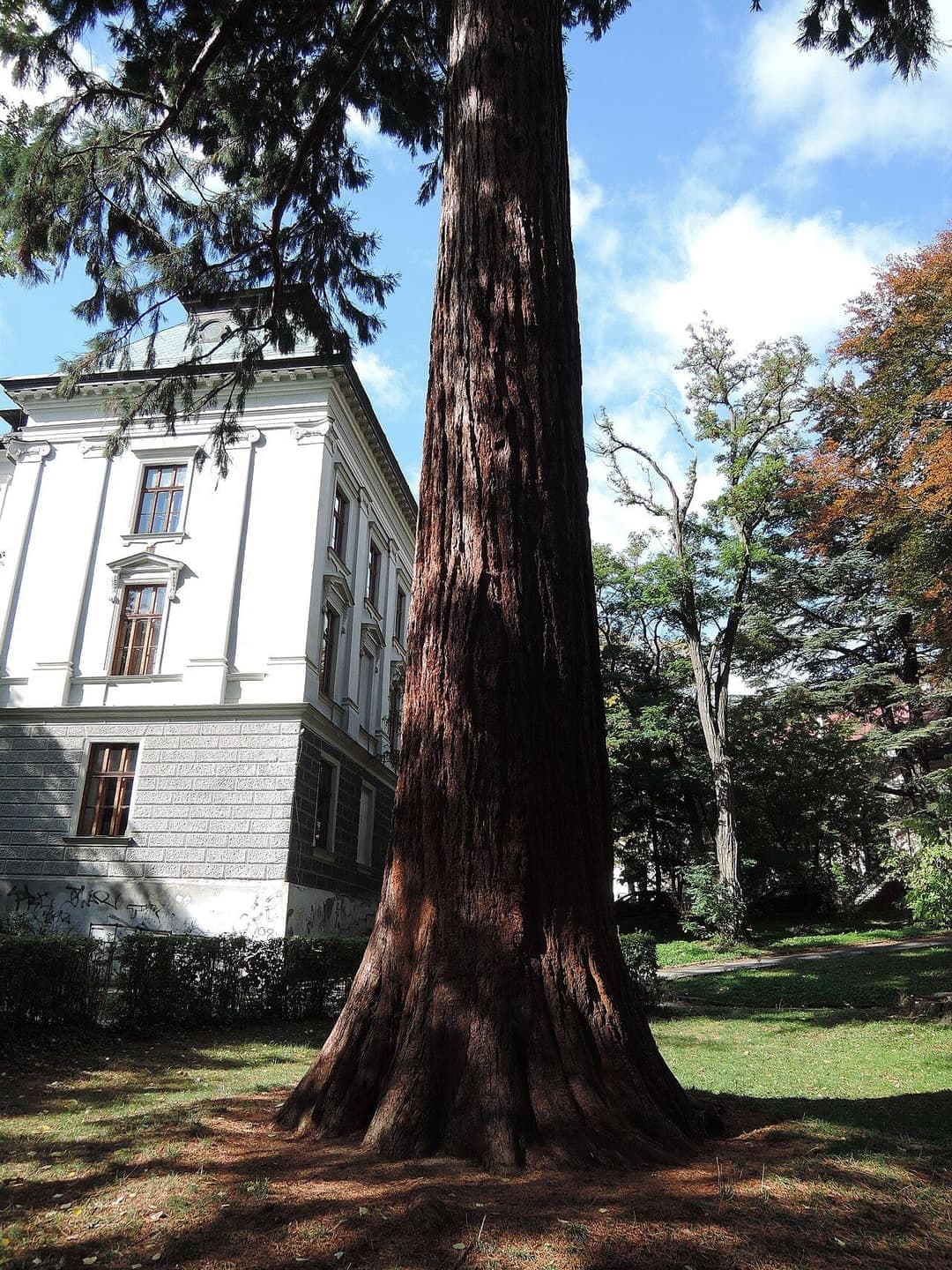 Jan Albrecht Music and Art Academy – Banská Štiavnica, LLC, professional higher education institution — 6