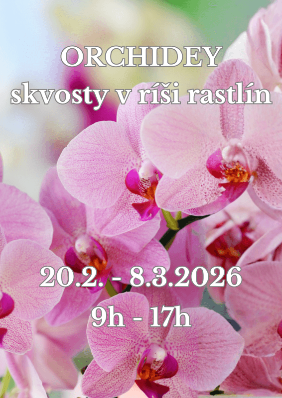 Выставка орхидей 2026