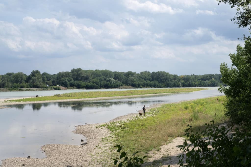 Shallow water on the Danube stopped shipping, causing damage to industry and tourism