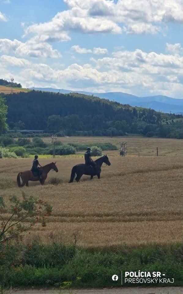 In Slovakia, after more than 30 hours of searching, a three-year-old boy was found alive