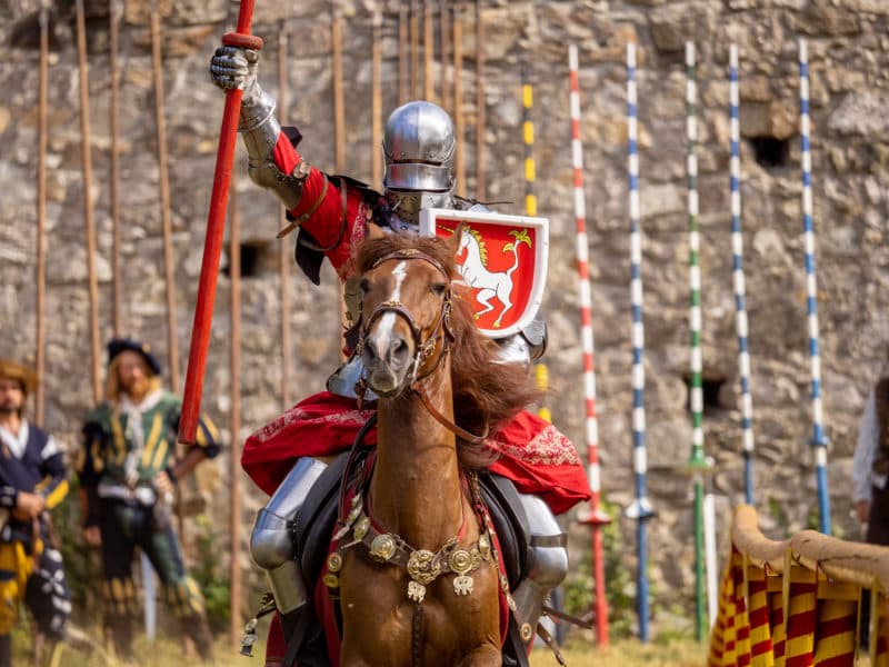 Фестиваль Knights on Devín Castle