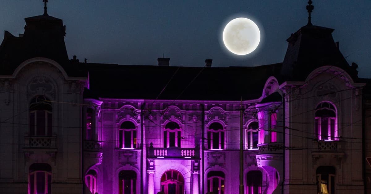 Magický les v paláci