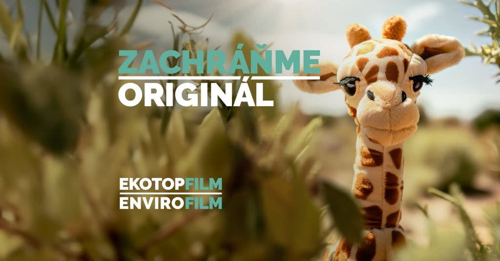 Filmový festival Ekotopfilm Košice
