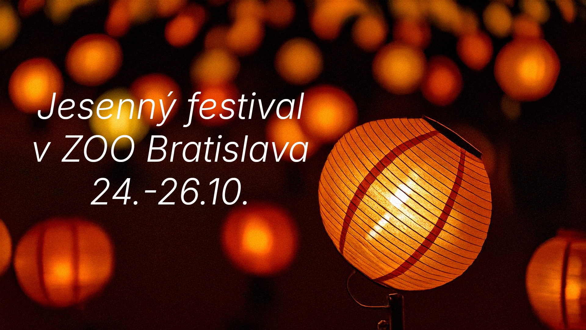 Осінній фестиваль у ZOO