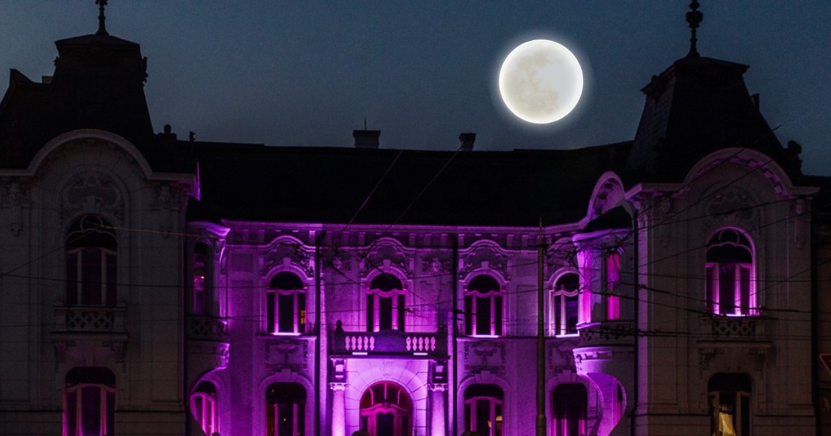 Magický les v paláci